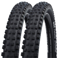Schwalbe Reifen Magic Mary Performance Falt - 2025 (2...