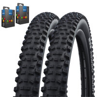 A*Schwalbe Reifen + Schlauch Set Hans Dampf Performance -...