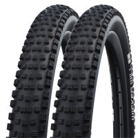 Schwalbe Reifen Wicked Will Performance - 2025 (2...