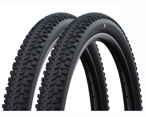 Schwalbe Reifen Advancer Hybrid - 2025 (2 Stück)