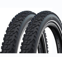 Schwalbe Reifen Smart Sam Cargo - 2026 (2 Stück)