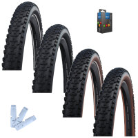 Schwalbe Reifen + Schlauch + Reifenheber Set Smart Sam...