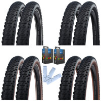 Schwalbe Reifen + Schlauch + Reifenheber Set Smart Sam...