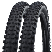 Schwalbe Reifen Hans Dampf Performance - 2025 (2 Stück)