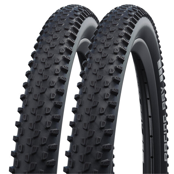 Schwalbe Reifen Racing Ray Performance - 2026 (2 Stück)