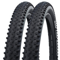 Schwalbe Reifen Racing Ray Performance - 2025 (2 Stück)