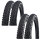 Schwalbe Reifen Rapid Rob - 2026 (2 Stück)