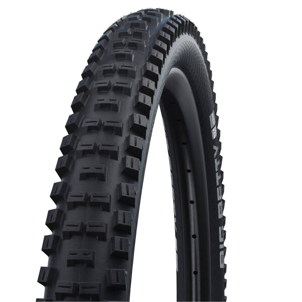 Schwalbe Reifen Big Betty Performance BikePark - 2025